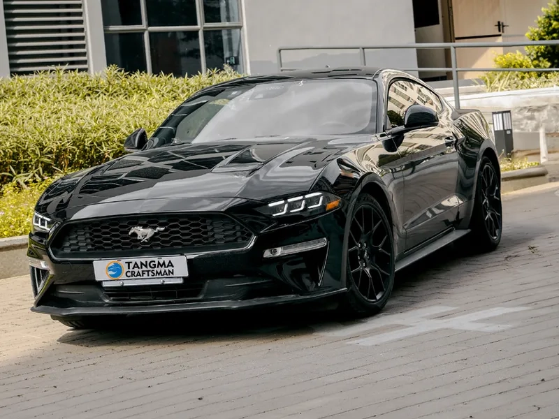 18+ Ford Mustang LED Headlights with DRL Projector
